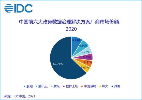 2020年IDC政务数据治理解决方案市场份额报告分析