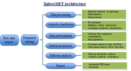 代谢组学数据分析的数据处理服务
